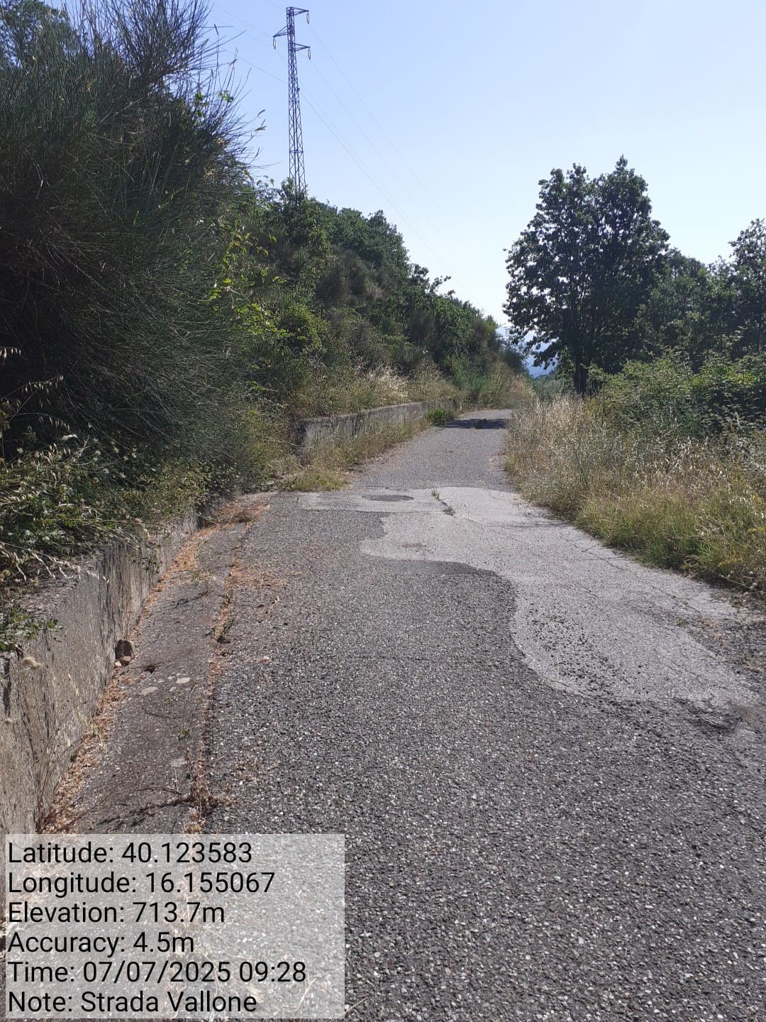 Galleria Fotografica Immagine