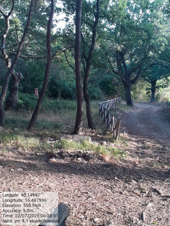 Galleria Fotografica Immagine