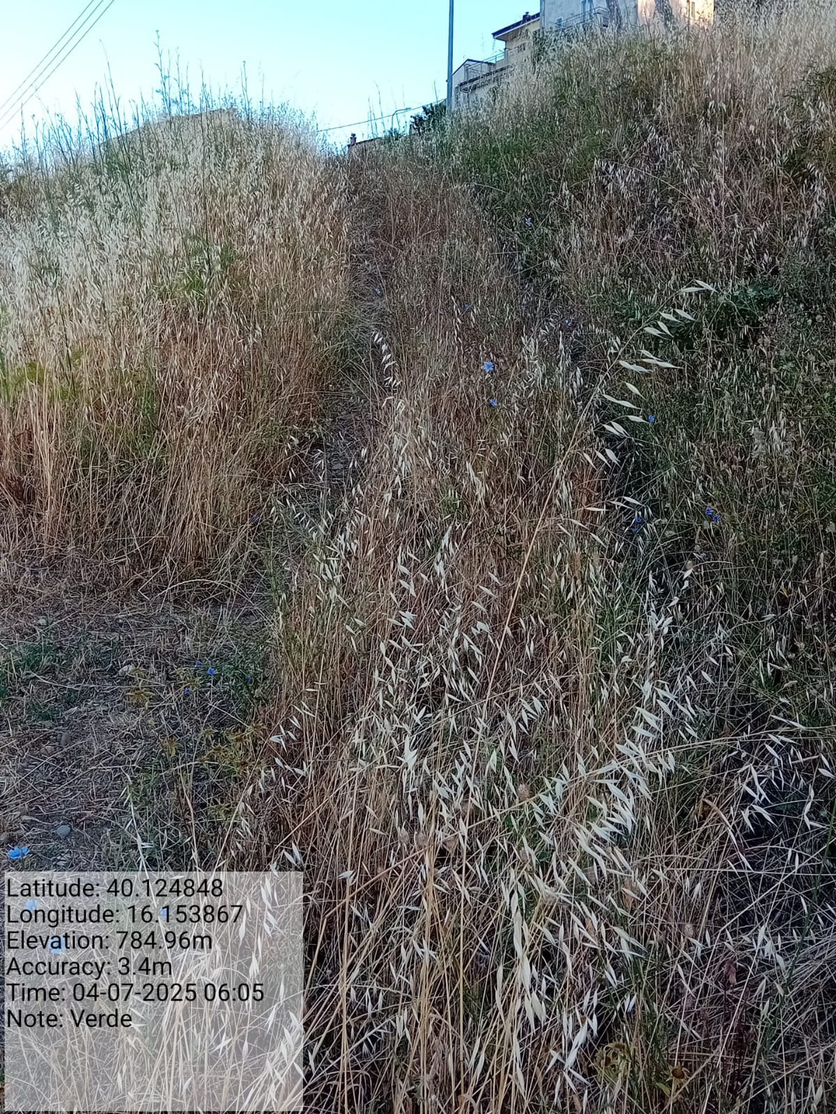 Galleria Fotografica Immagine