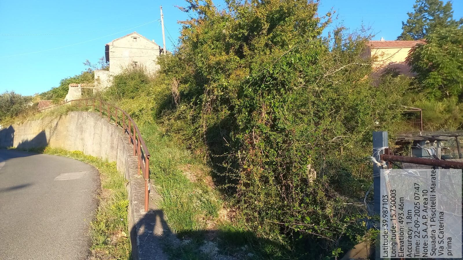 Galleria Fotografica Immagine