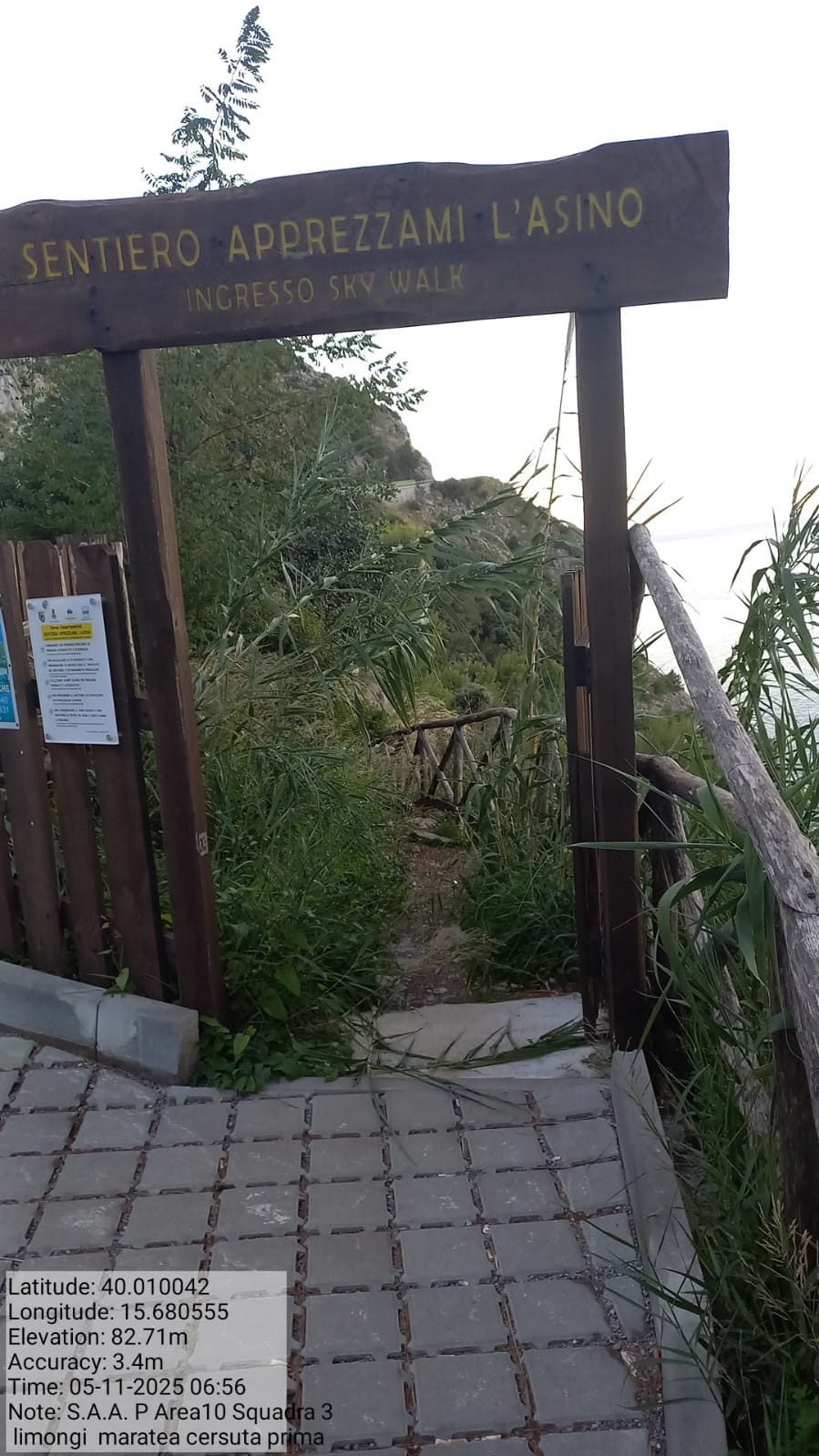 Galleria Fotografica Immagine