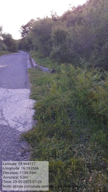 Galleria Fotografica Immagine