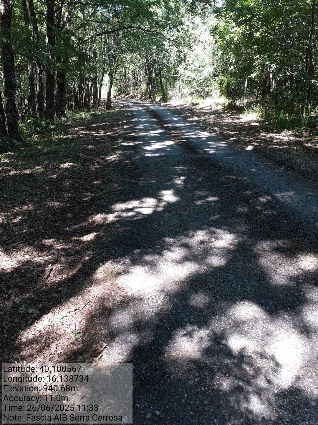 Galleria Fotografica Immagine