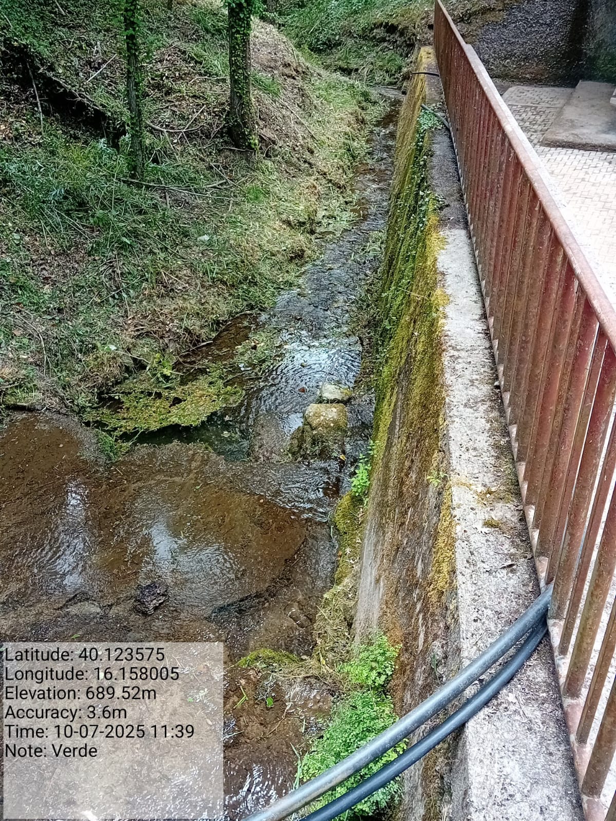 Galleria Fotografica Immagine