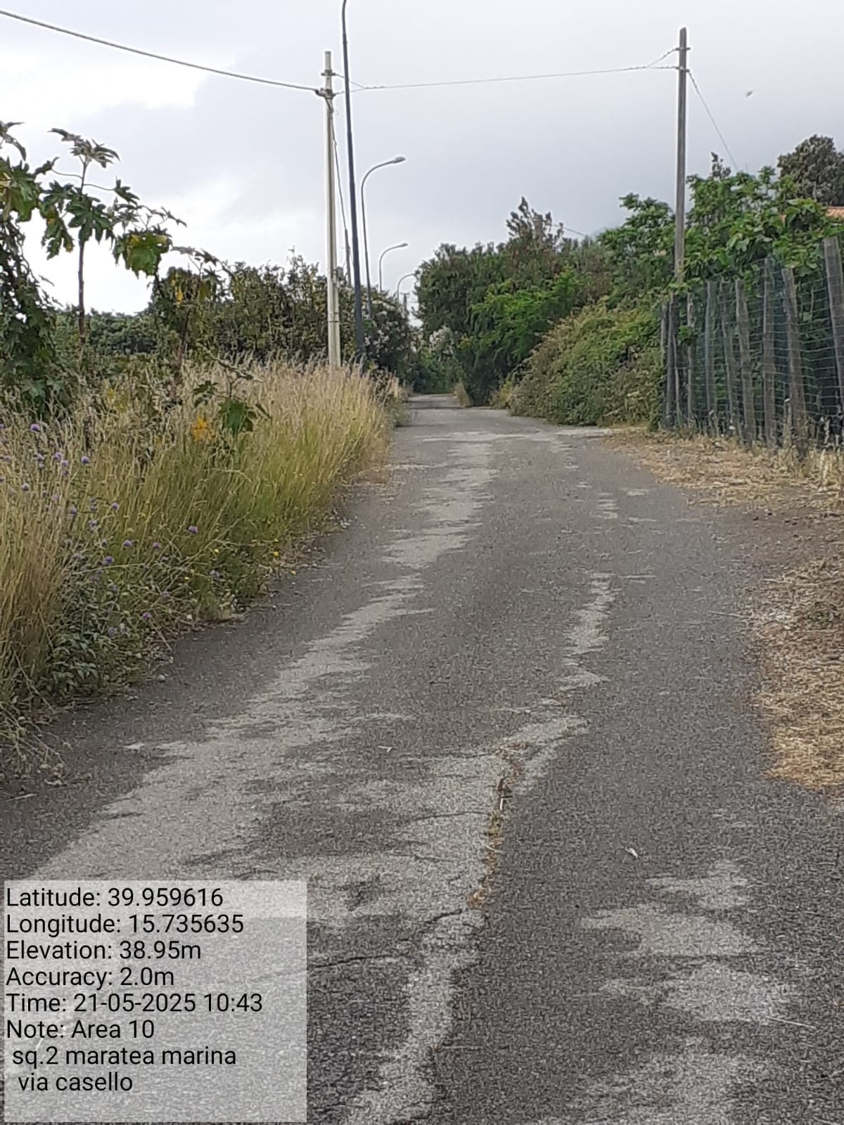 Galleria Fotografica Immagine