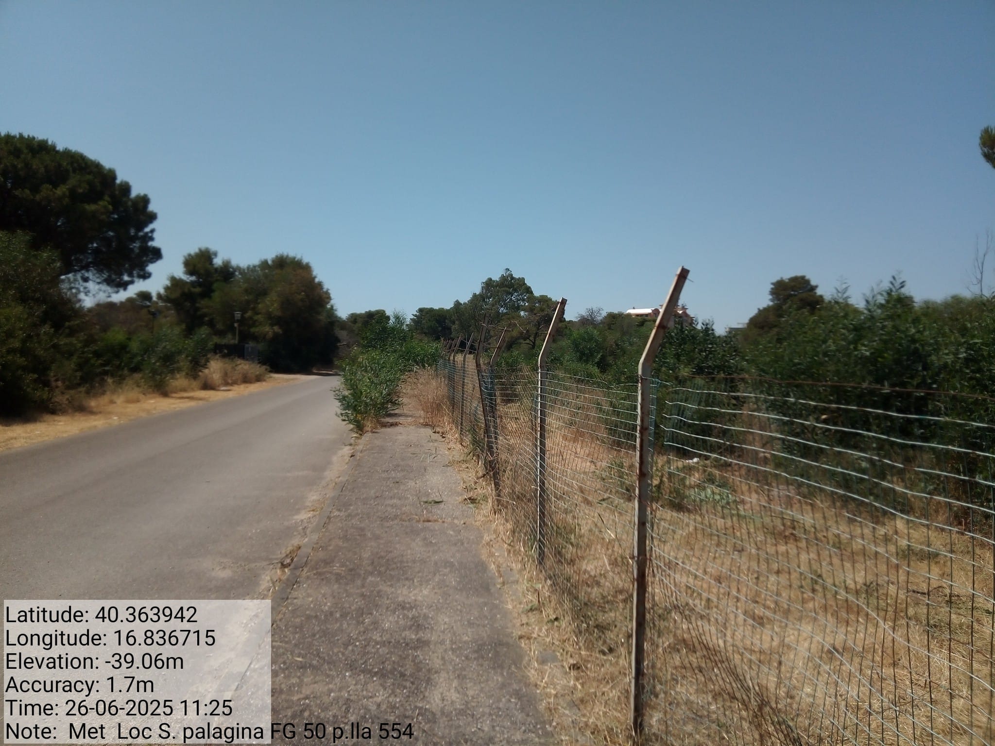 Galleria Fotografica Immagine