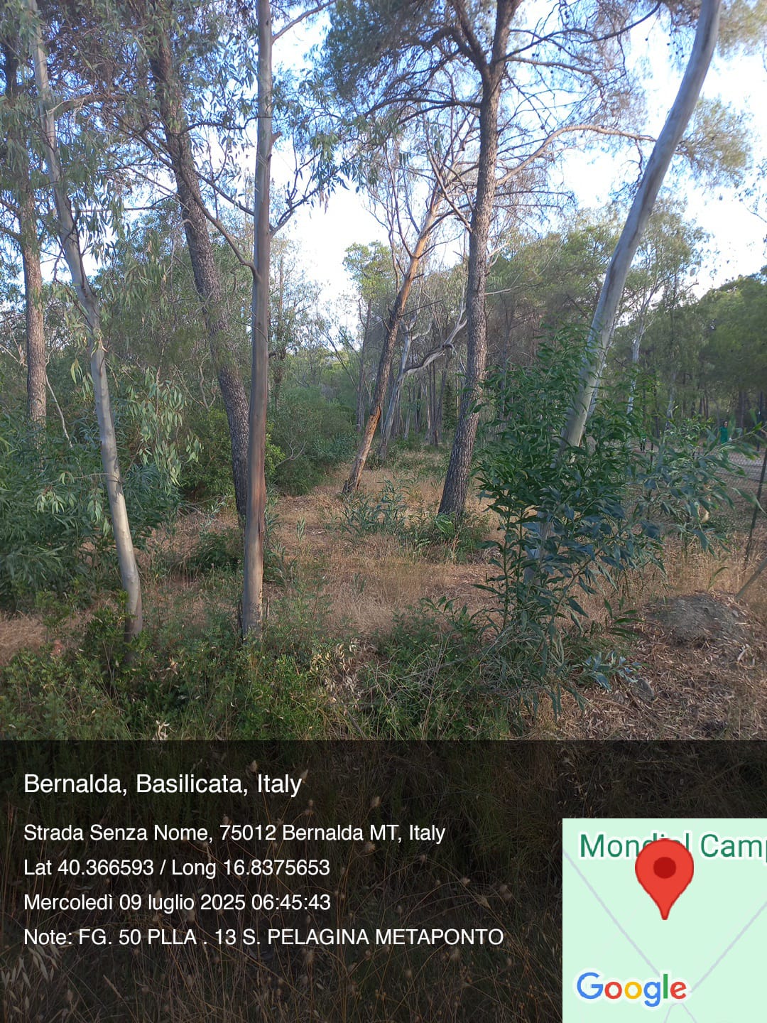 Galleria Fotografica Immagine