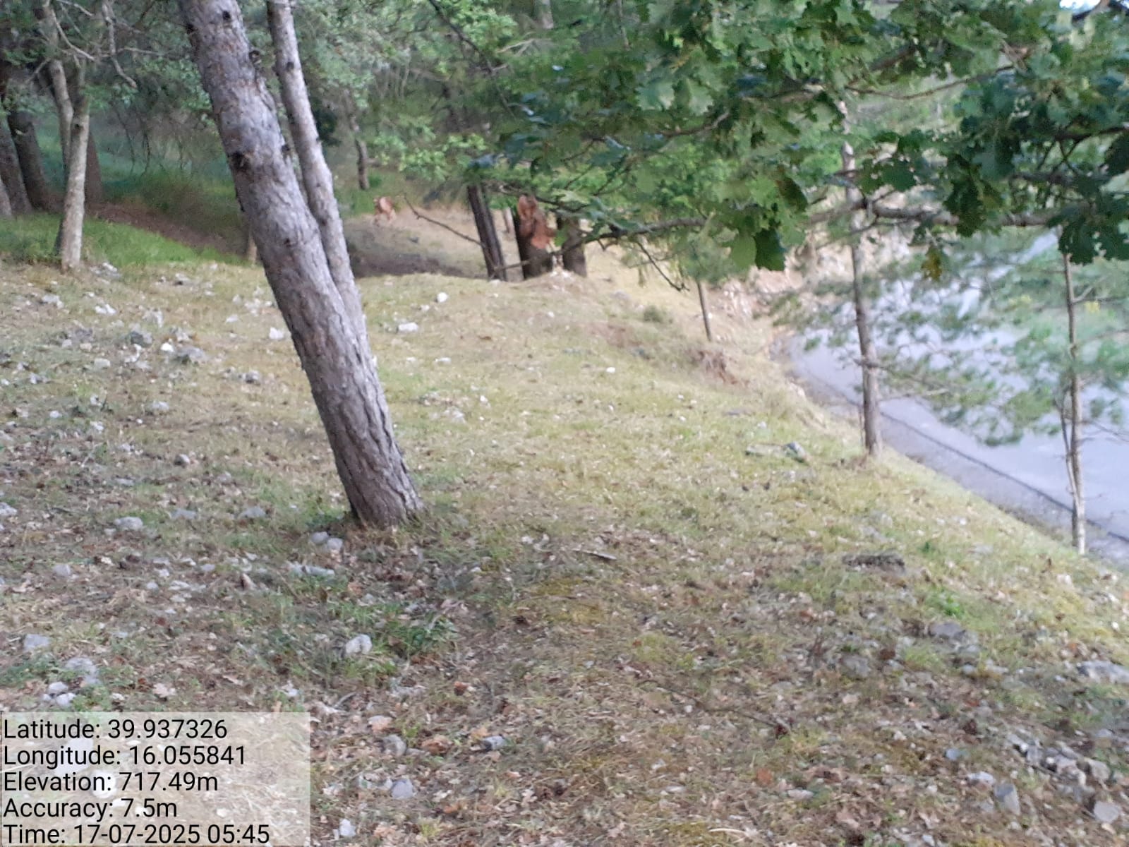 Galleria Fotografica Immagine