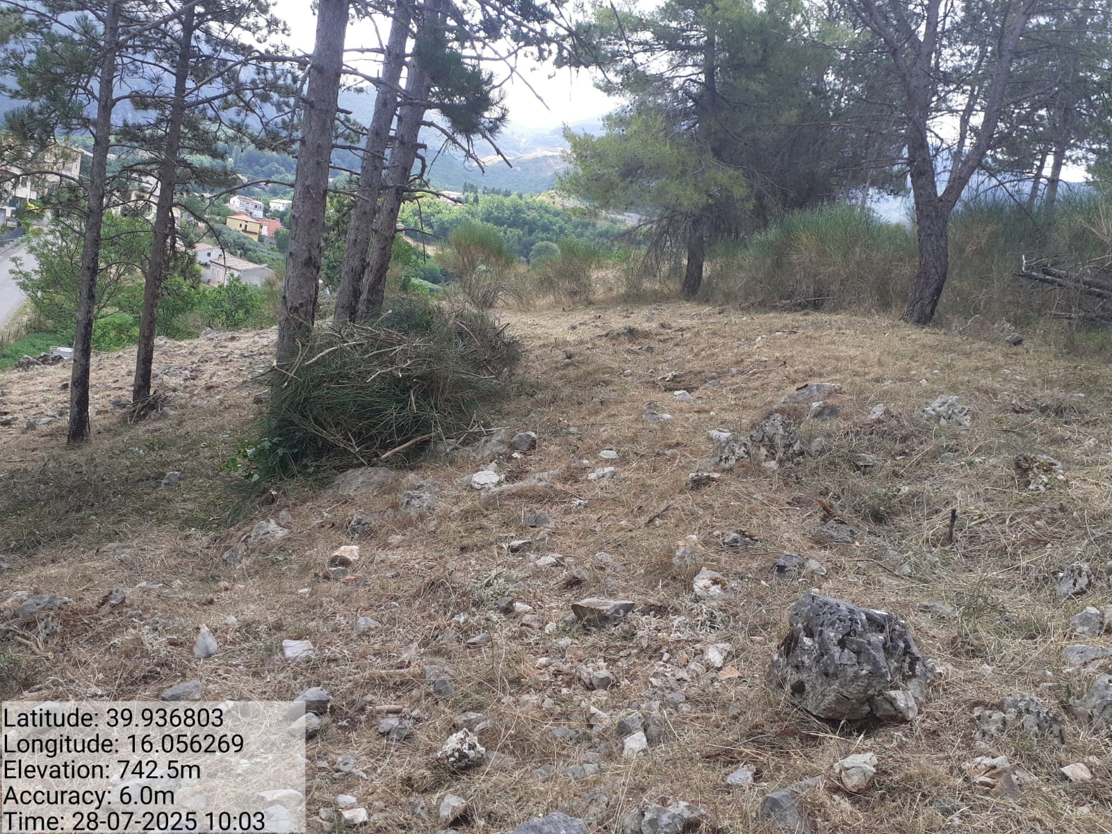 Galleria Fotografica Immagine