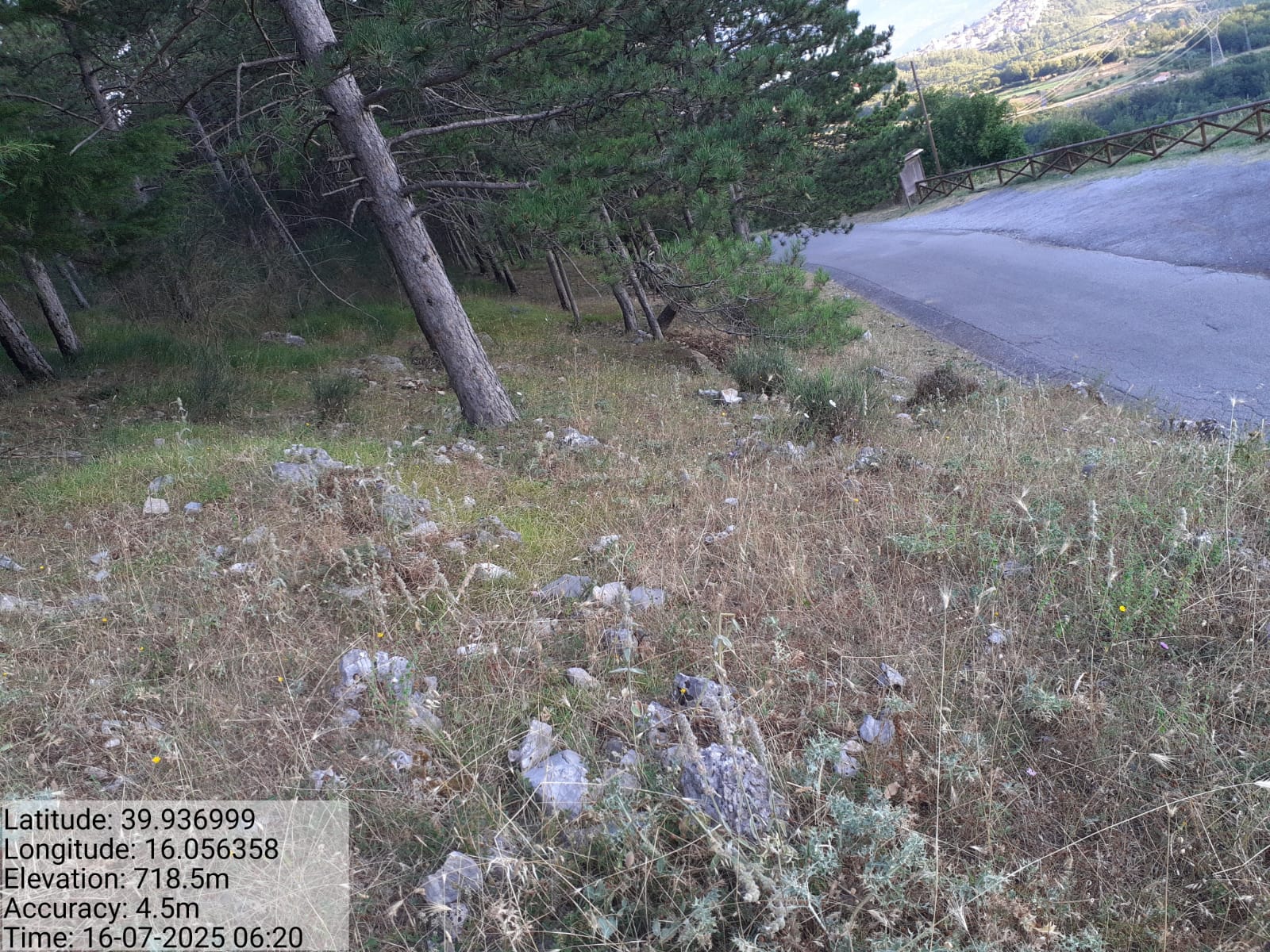 Galleria Fotografica Immagine