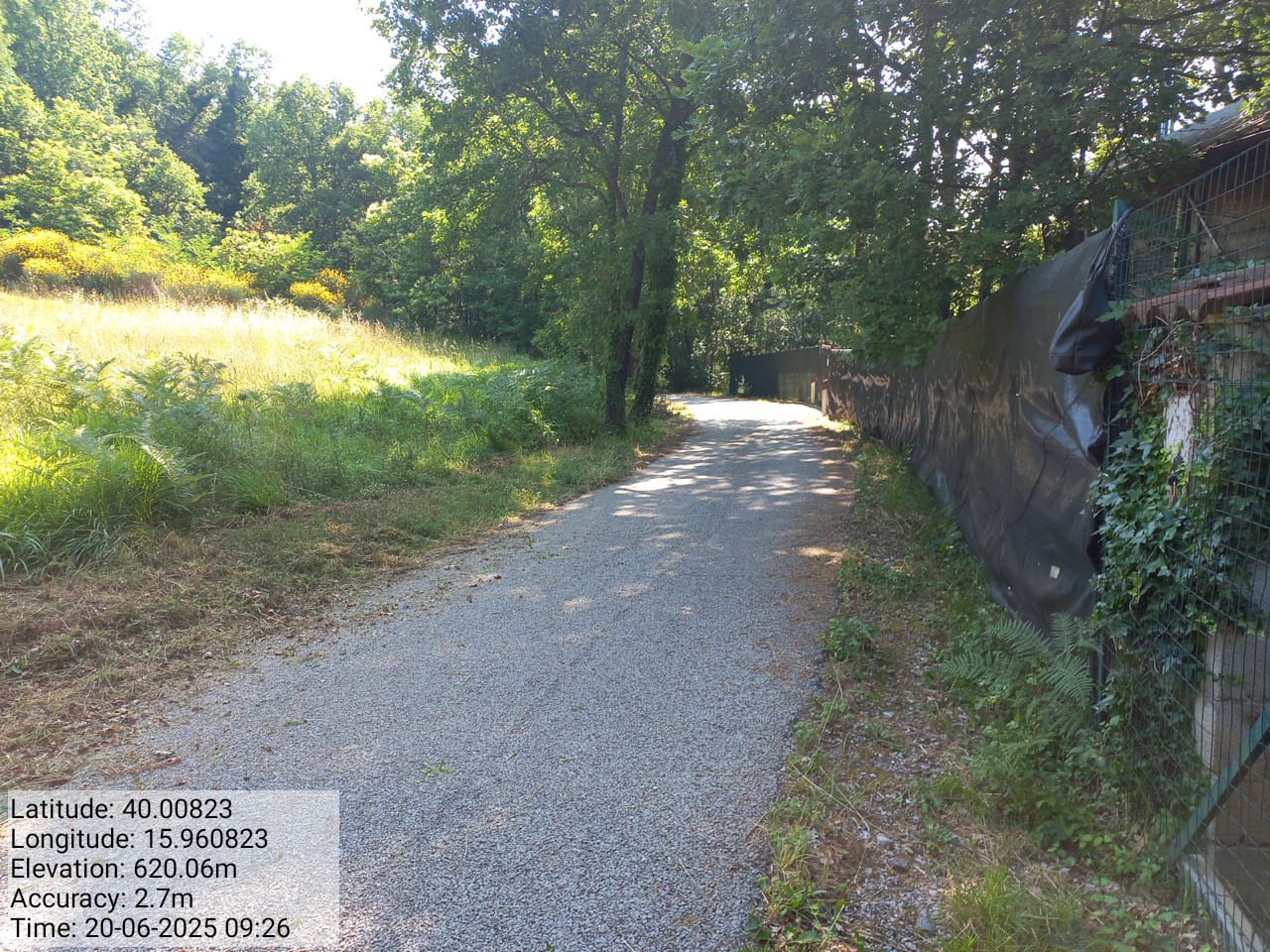 Galleria Fotografica Immagine