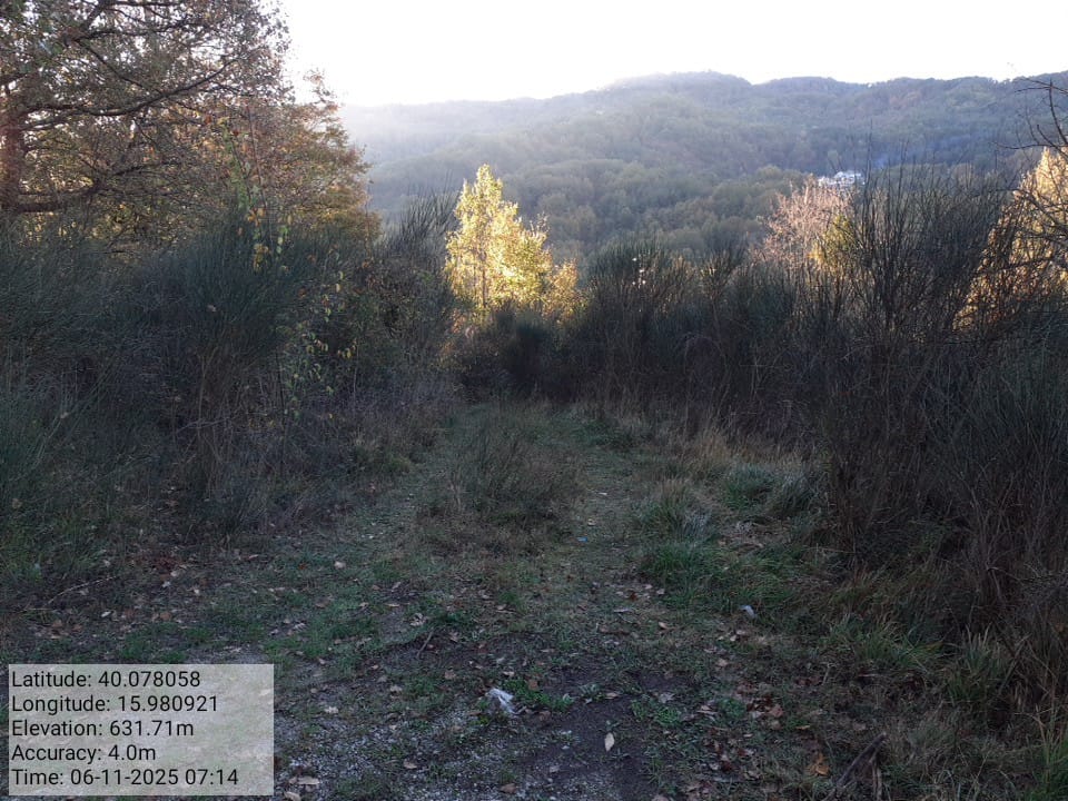 Galleria Fotografica Immagine