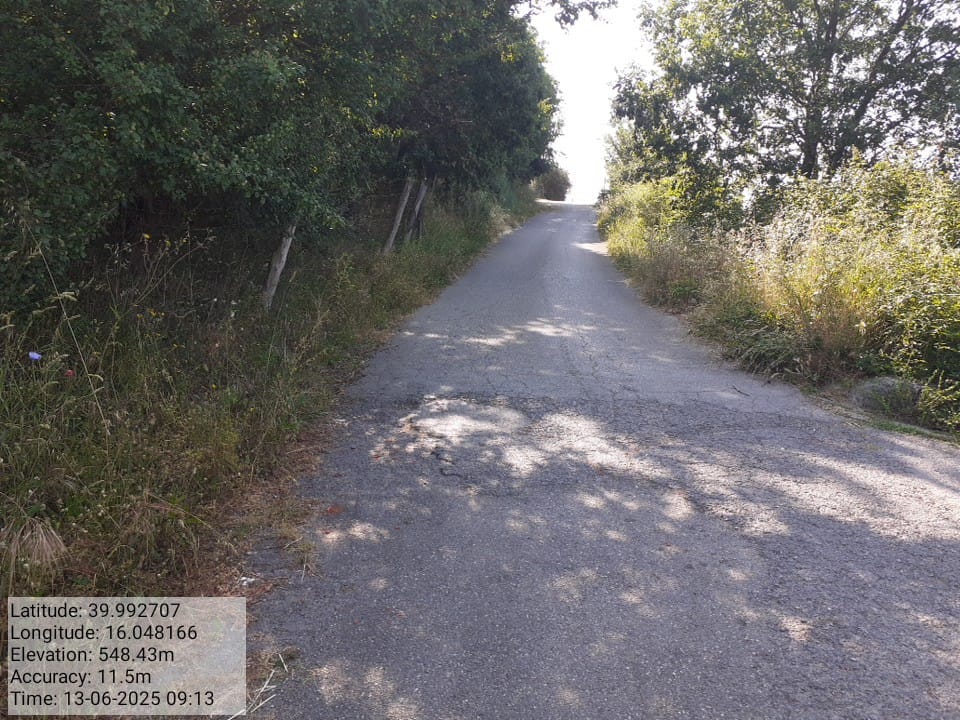 Galleria Fotografica Immagine