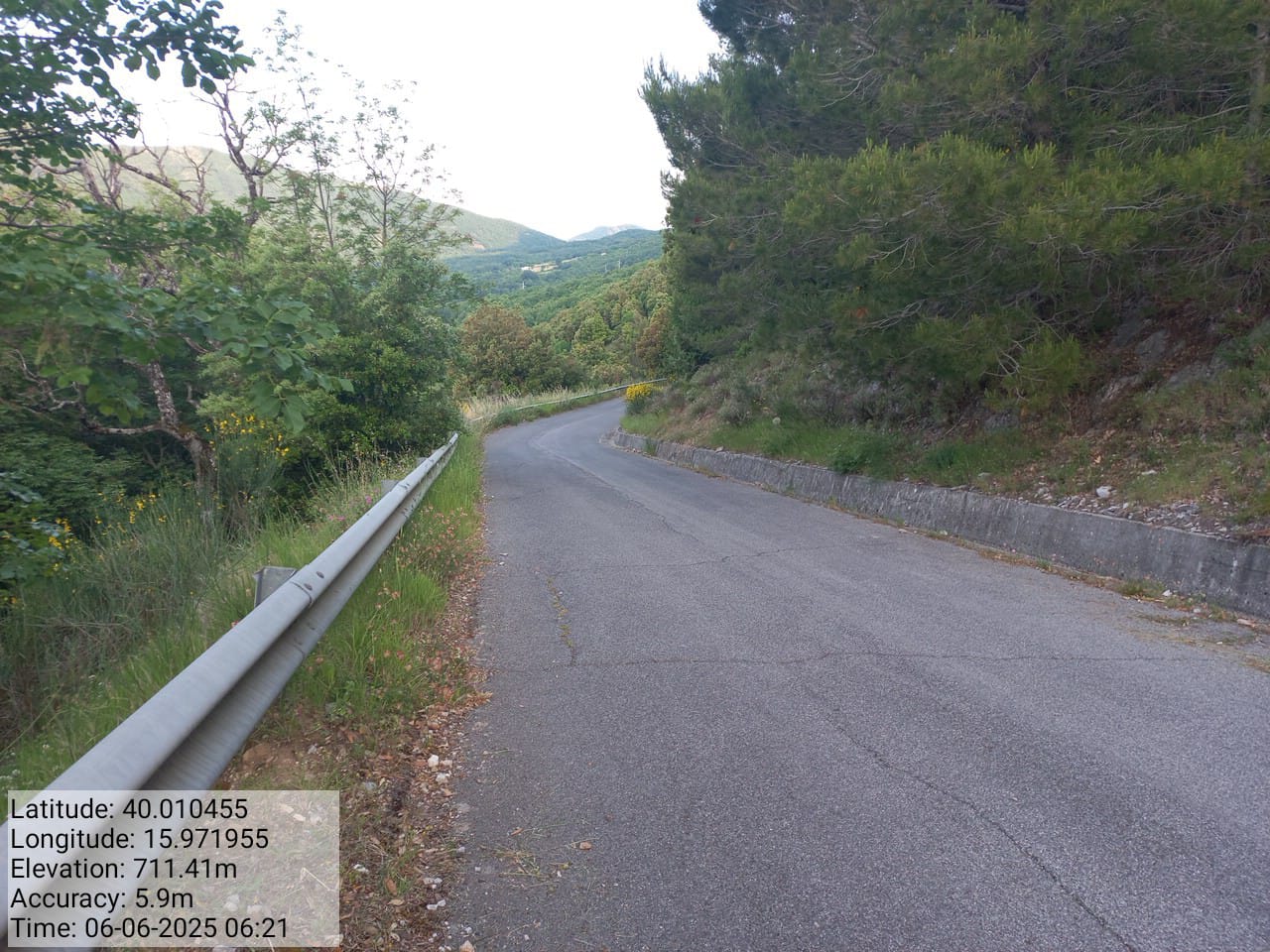 Galleria Fotografica Immagine