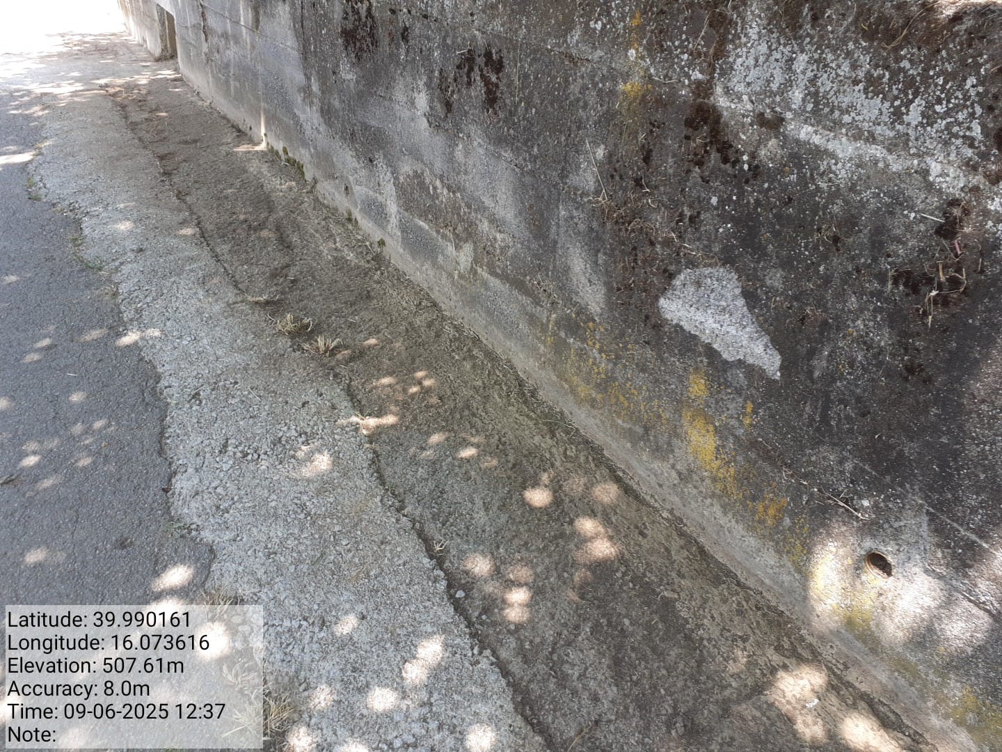 Galleria Fotografica Immagine