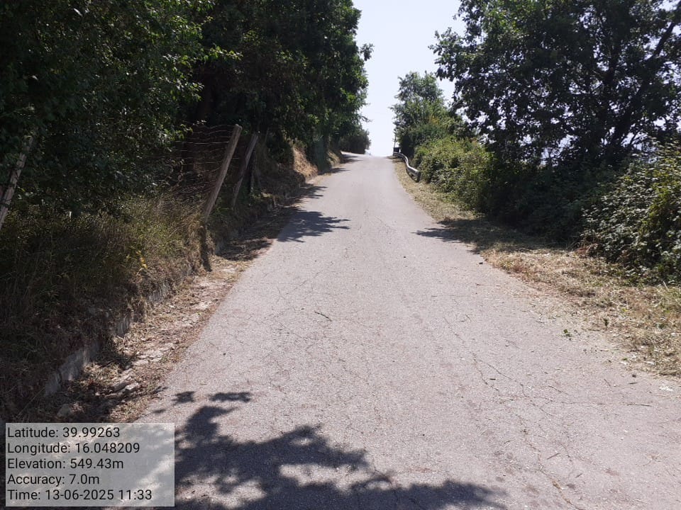 Galleria Fotografica Immagine