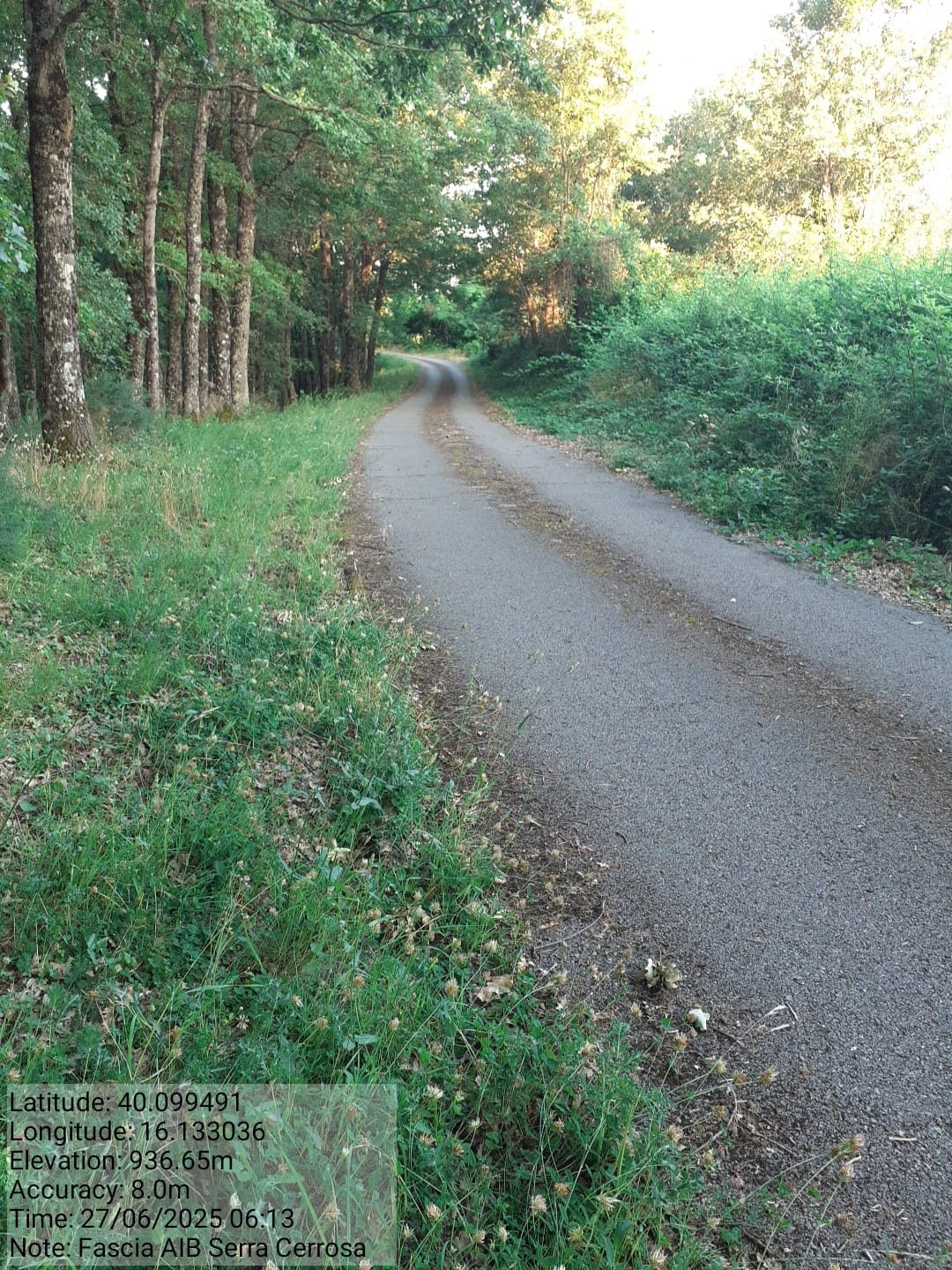 Galleria Fotografica Immagine