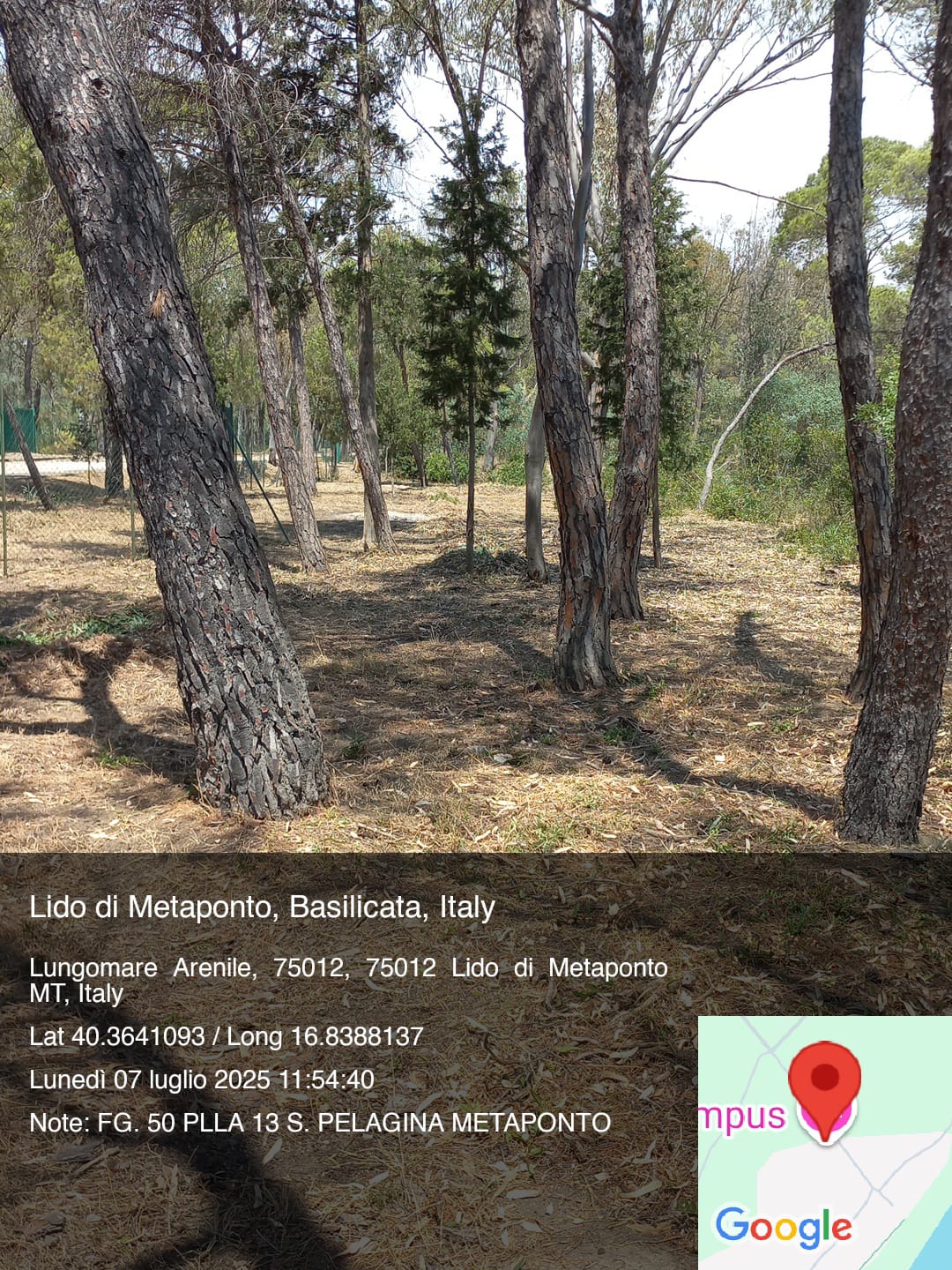 Galleria Fotografica Immagine