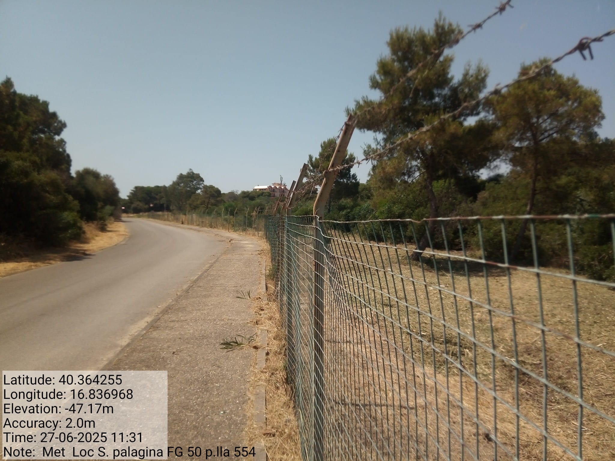 Galleria Fotografica Immagine