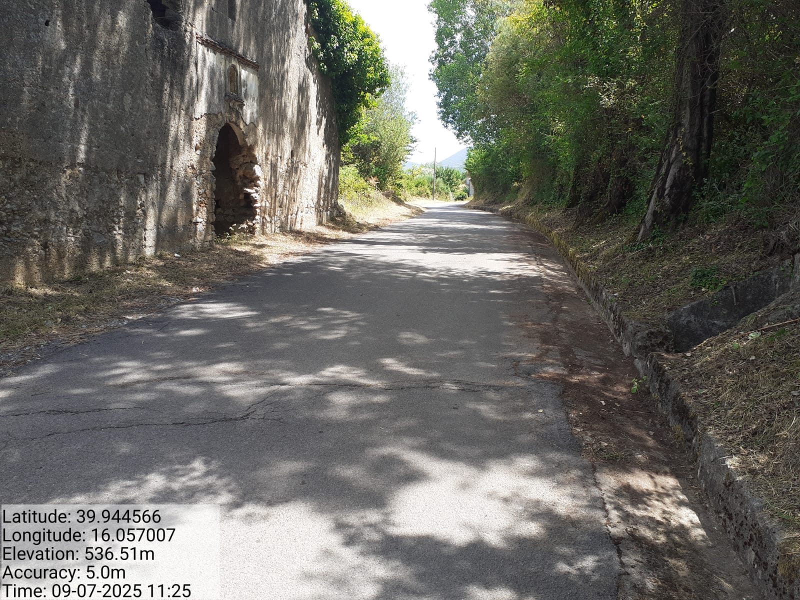 Galleria Fotografica Immagine