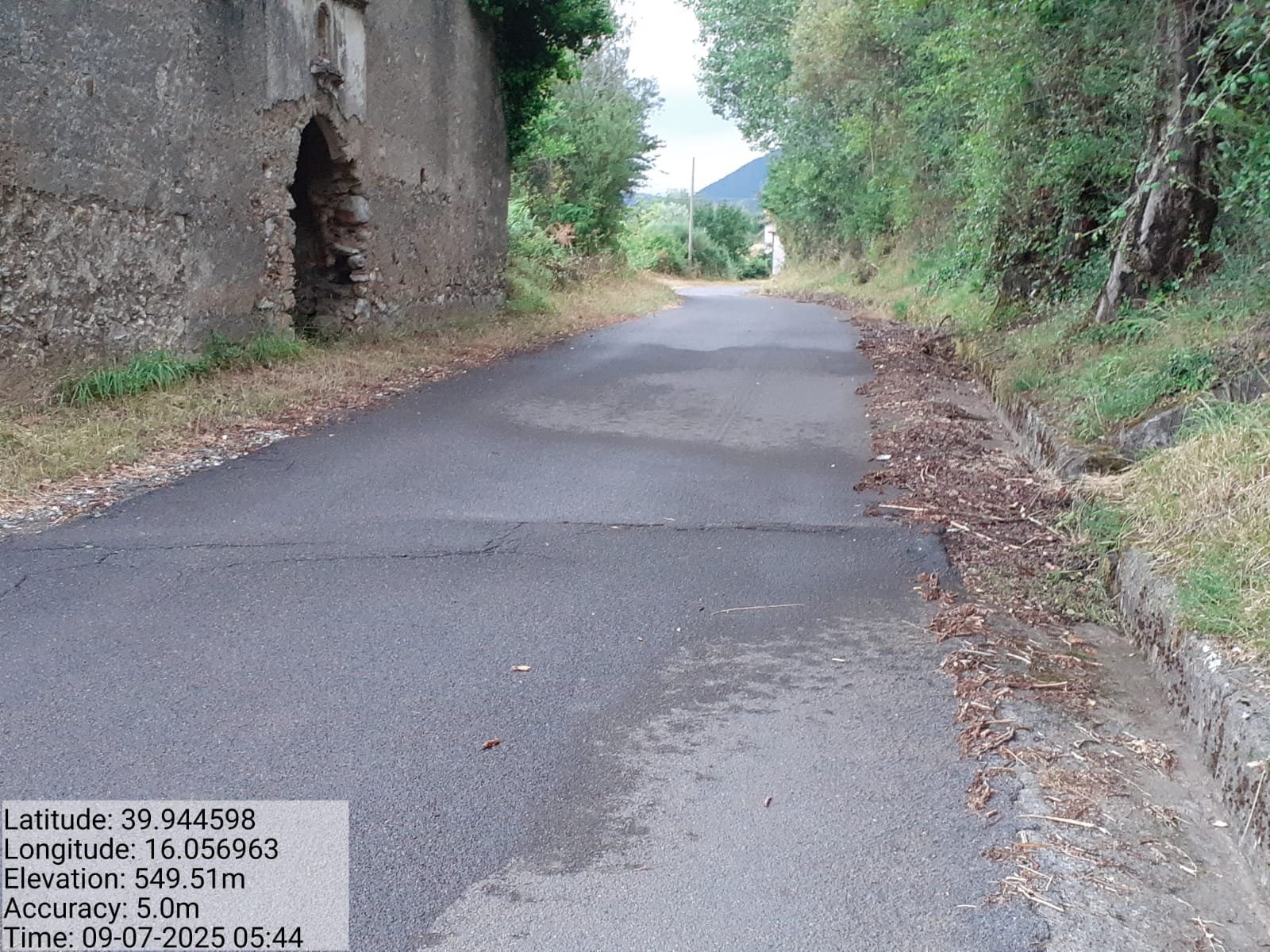 Galleria Fotografica Immagine