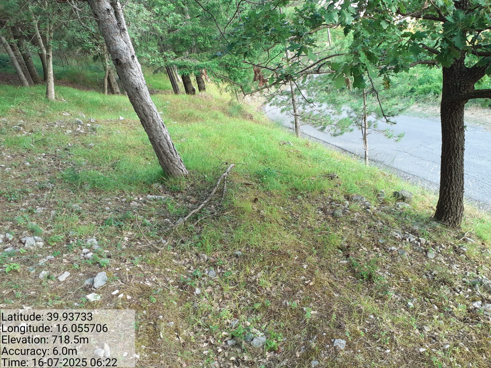 Galleria Fotografica Immagine