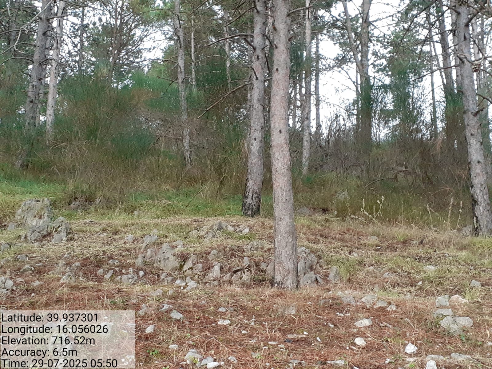 Galleria Fotografica Immagine