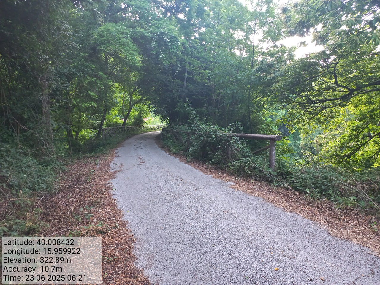 Galleria Fotografica Immagine