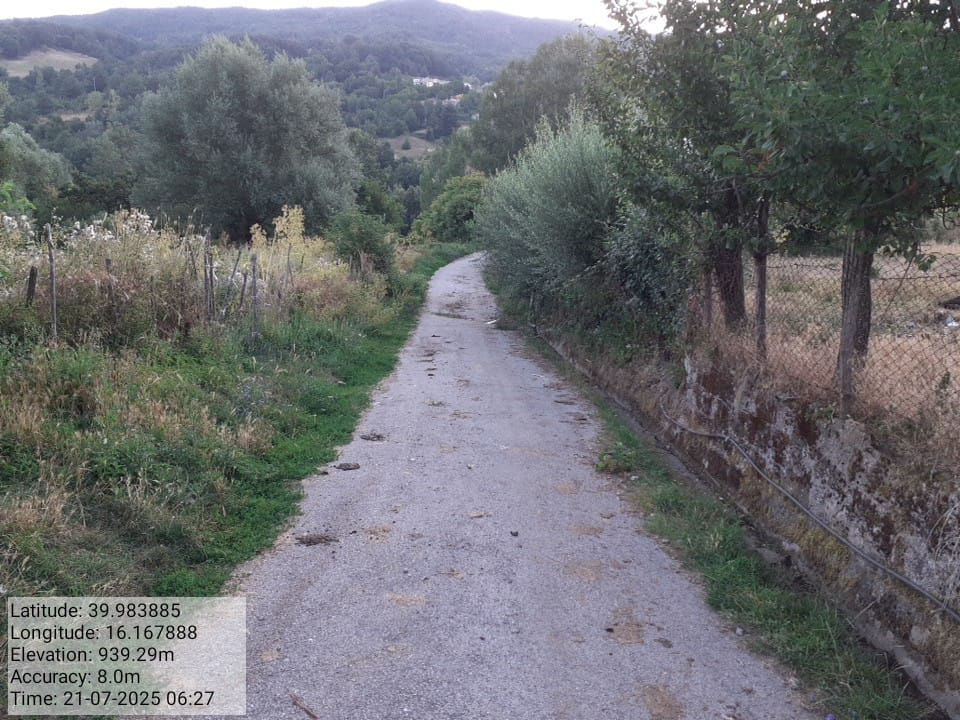 Galleria Fotografica Immagine