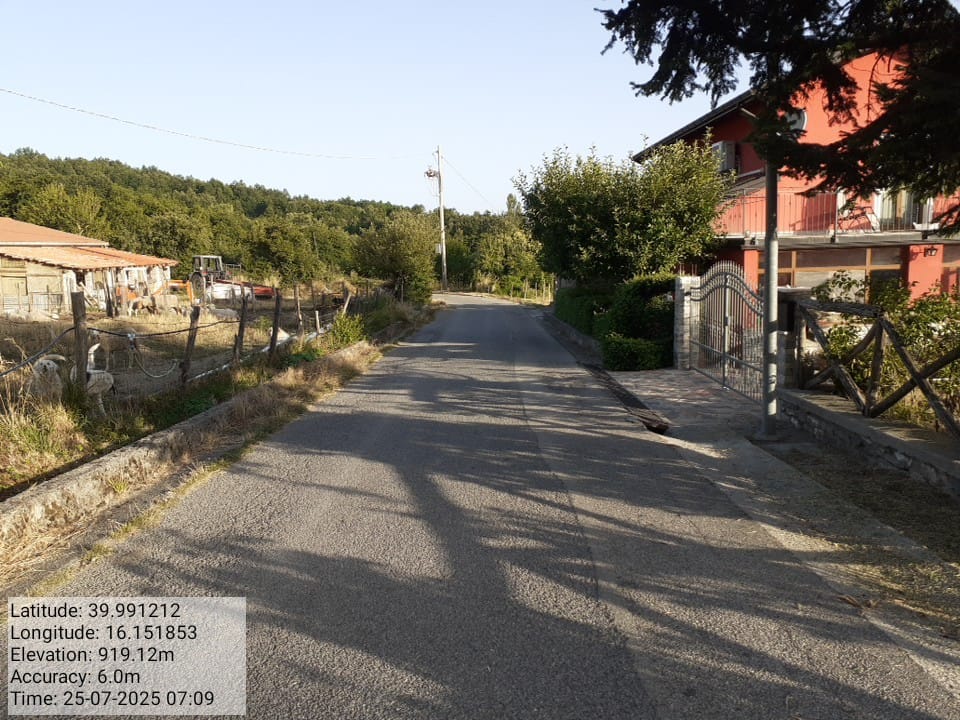 Galleria Fotografica Immagine