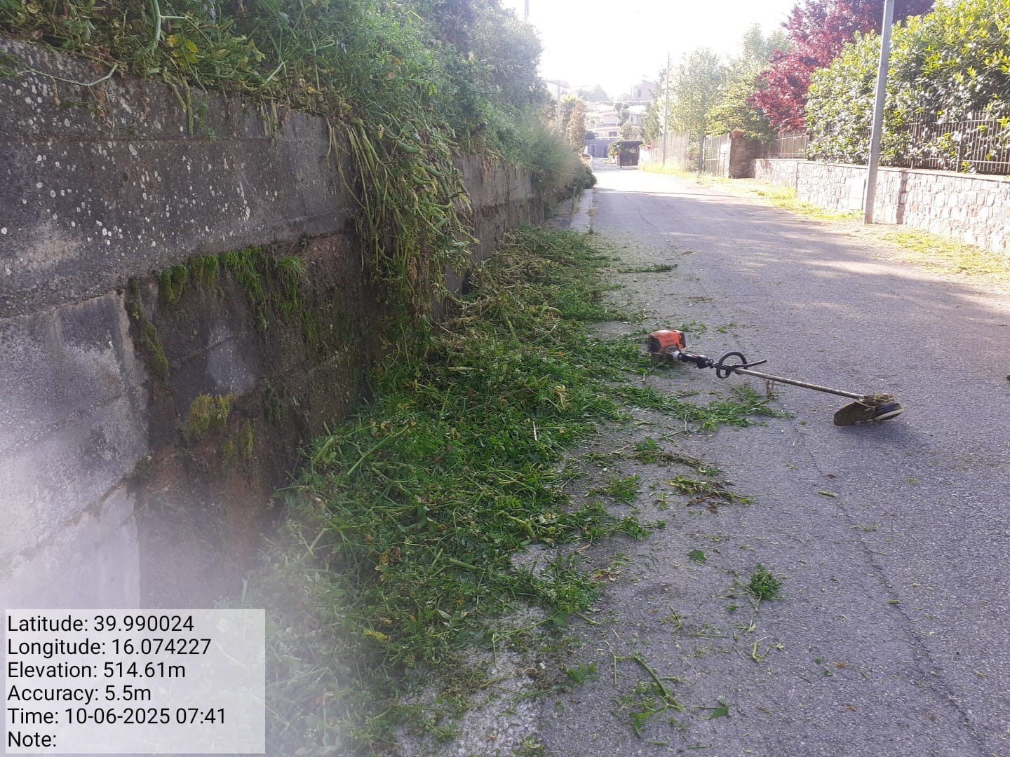 Galleria Fotografica Immagine