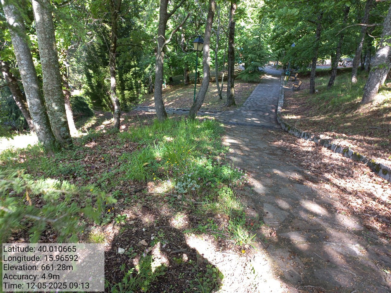 Galleria Fotografica Immagine