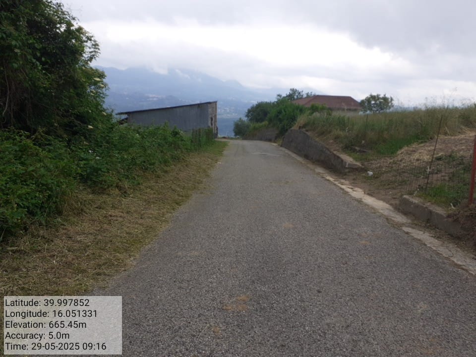 Galleria Fotografica Immagine