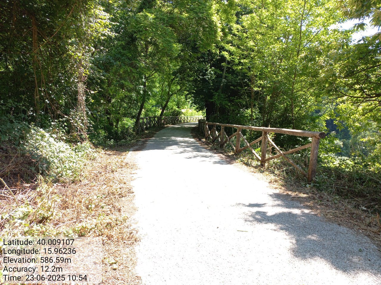 Galleria Fotografica Immagine