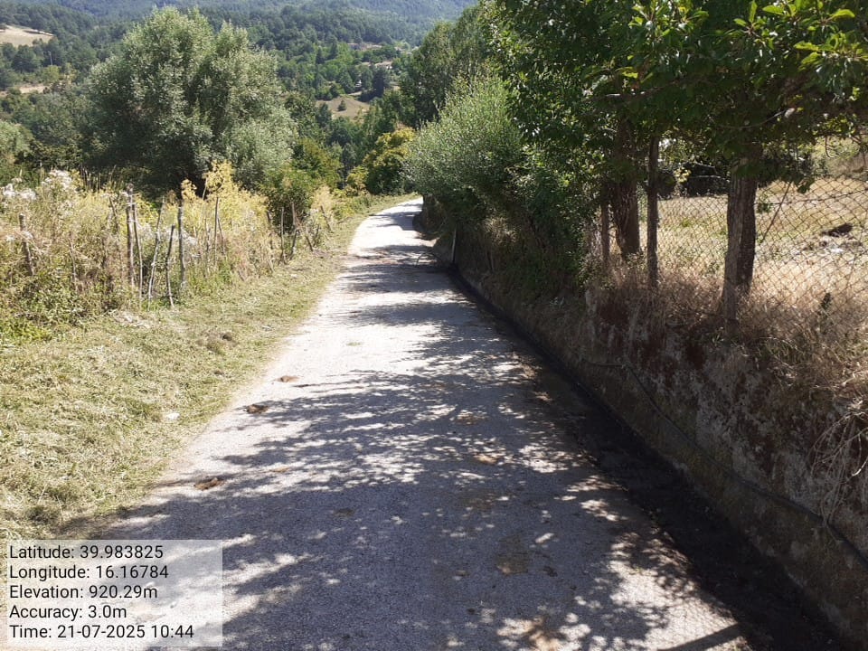 Galleria Fotografica Immagine