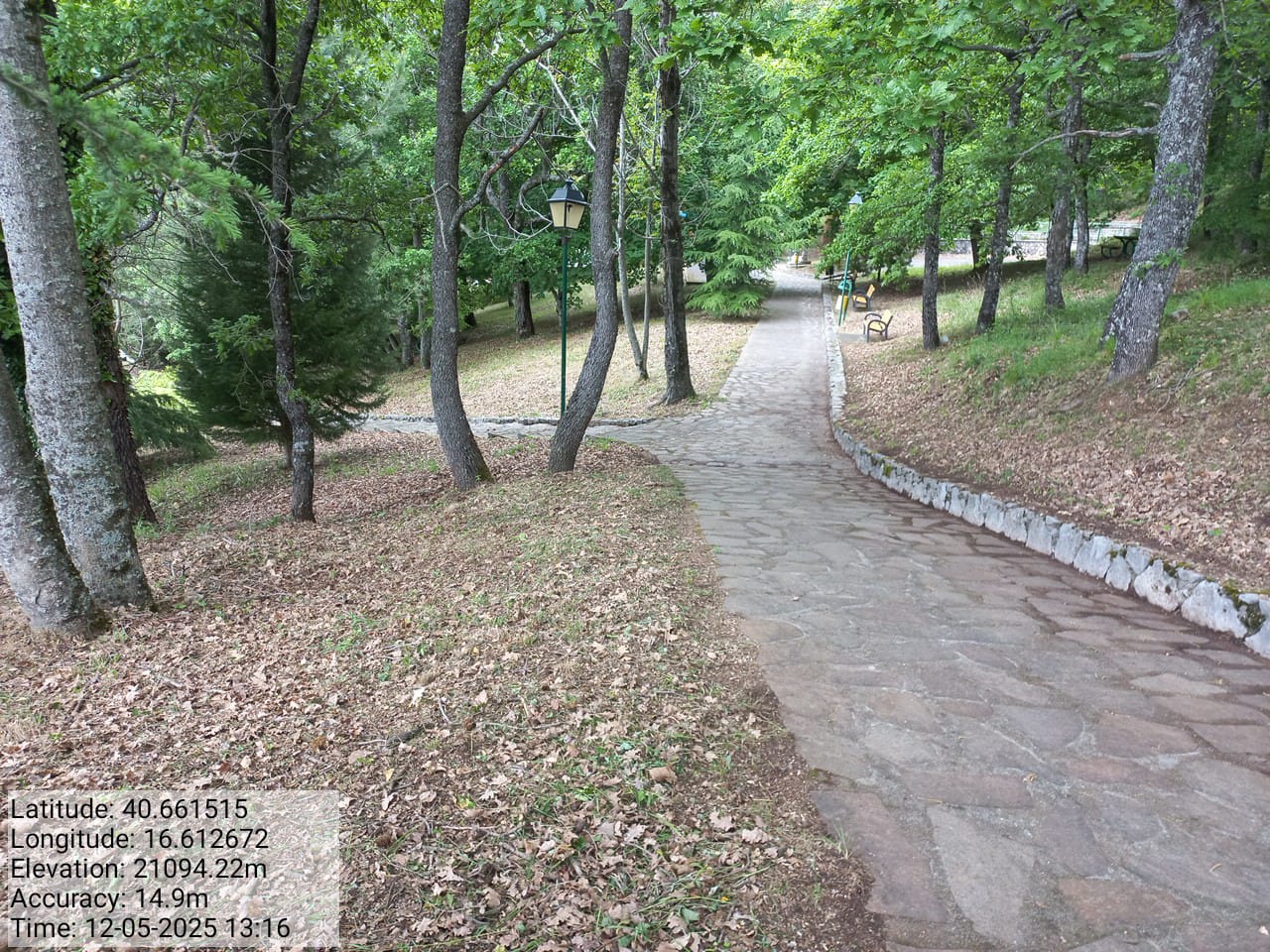 Galleria Fotografica Immagine