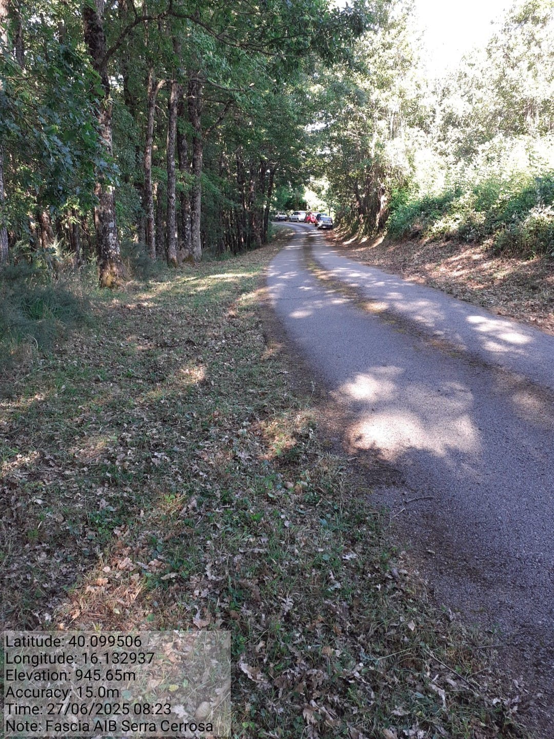 Galleria Fotografica Immagine