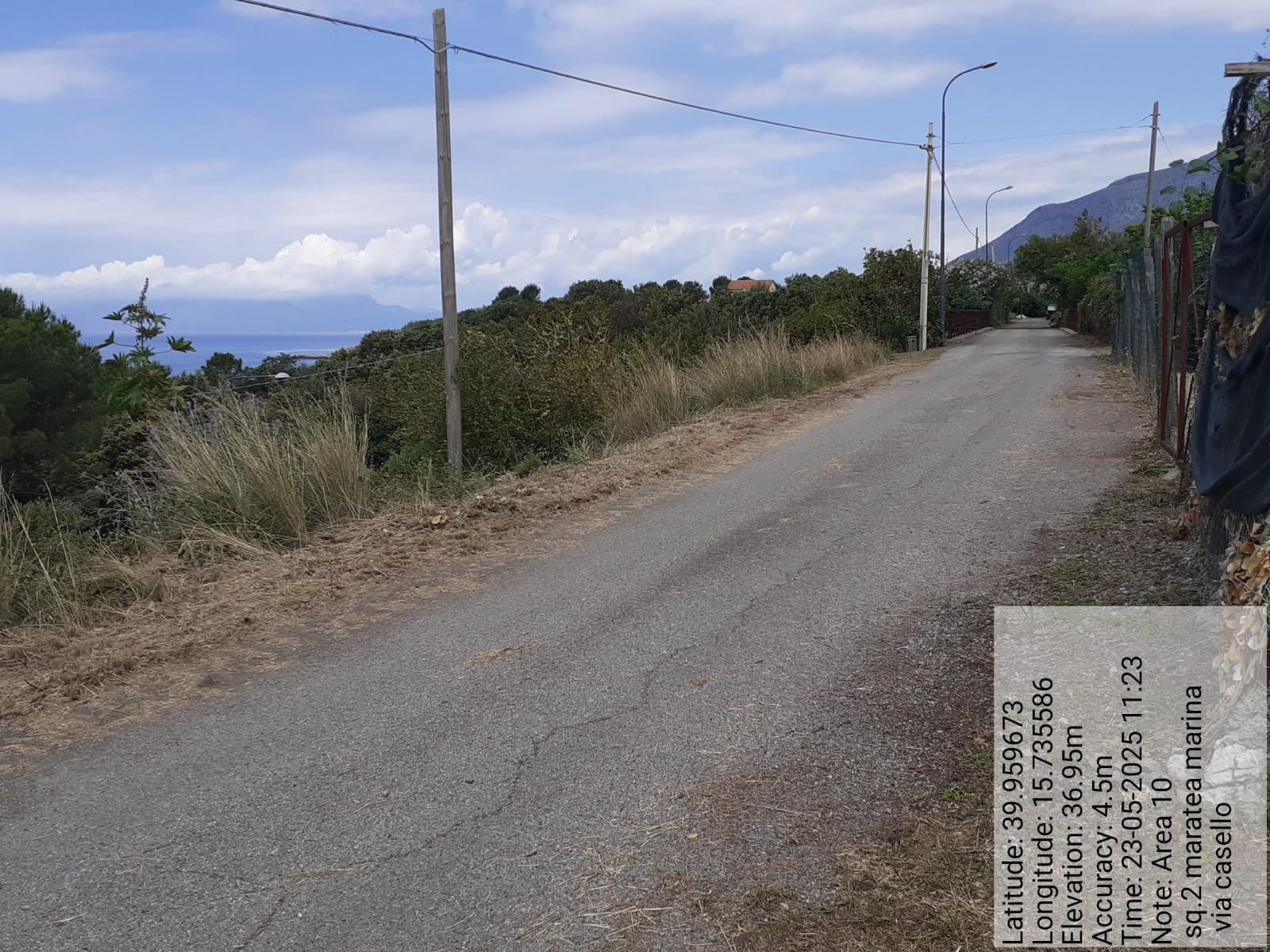 Galleria Fotografica Immagine