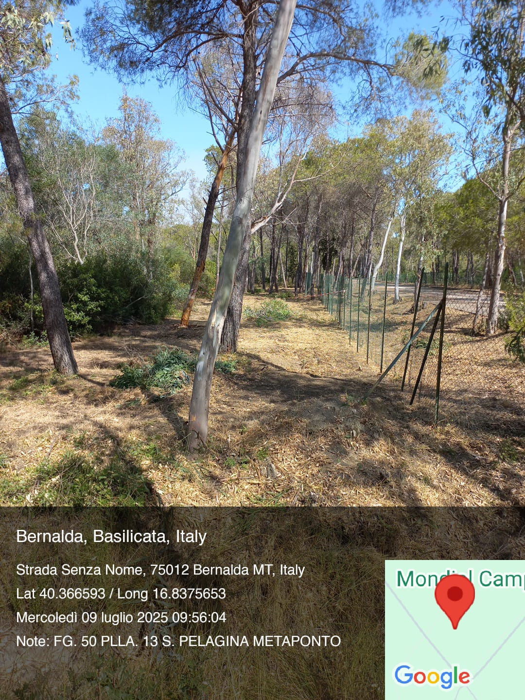 Galleria Fotografica Immagine