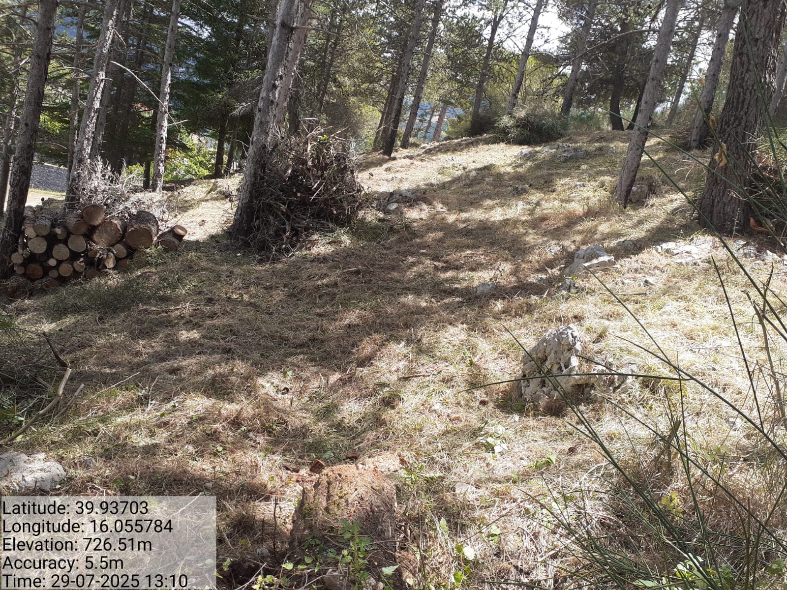 Galleria Fotografica Immagine