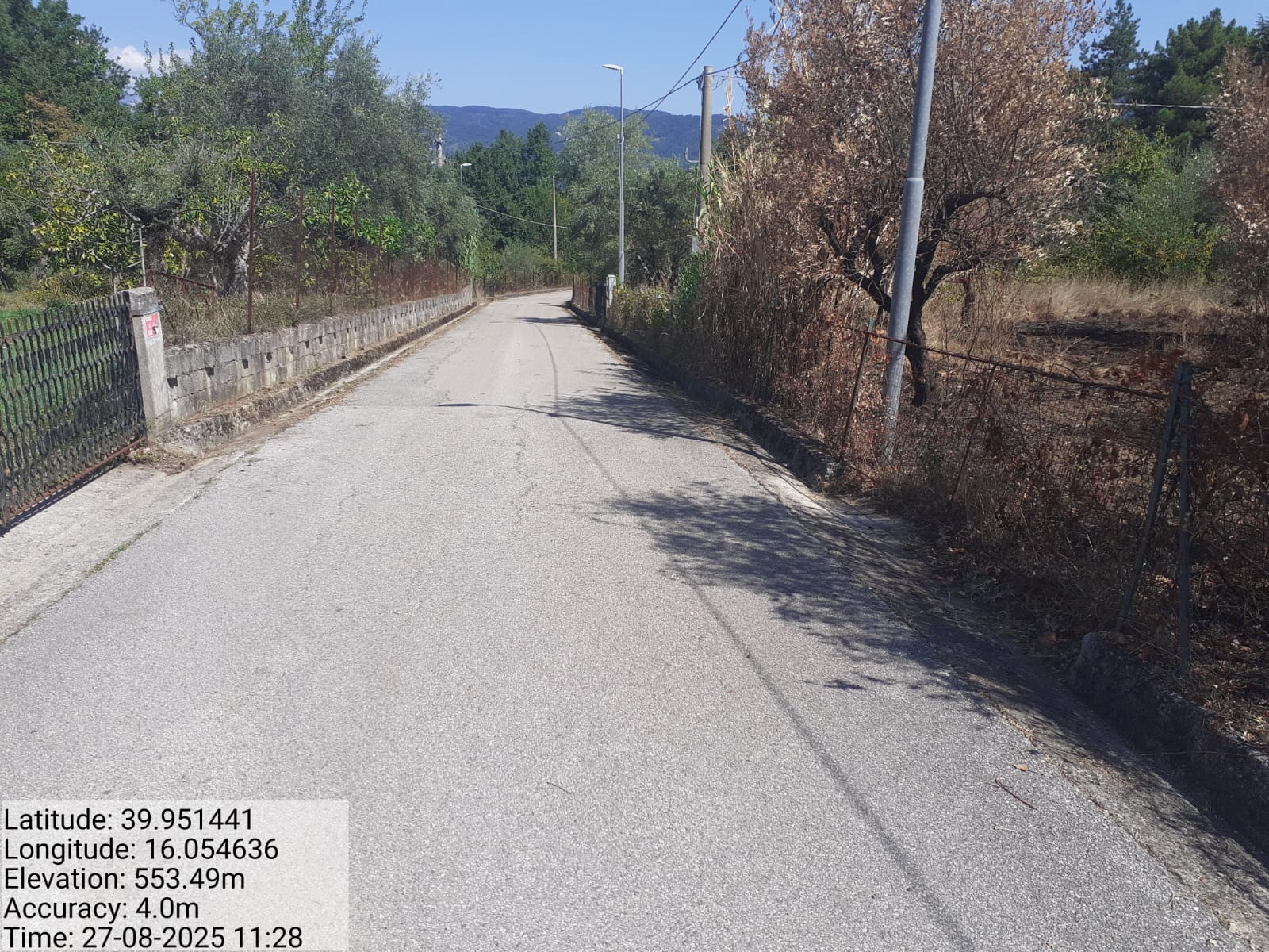 Galleria Fotografica Immagine