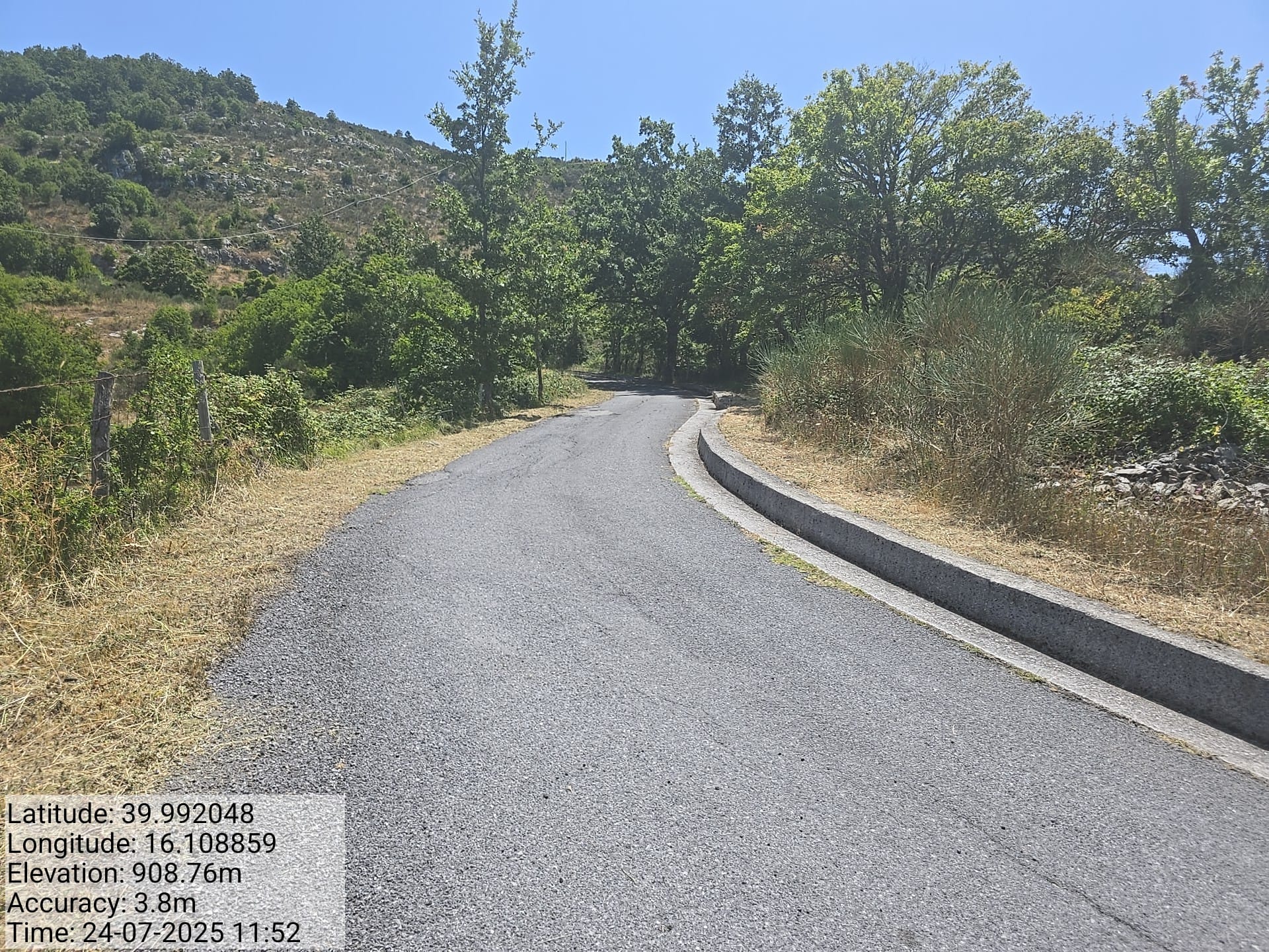 Galleria Fotografica Immagine