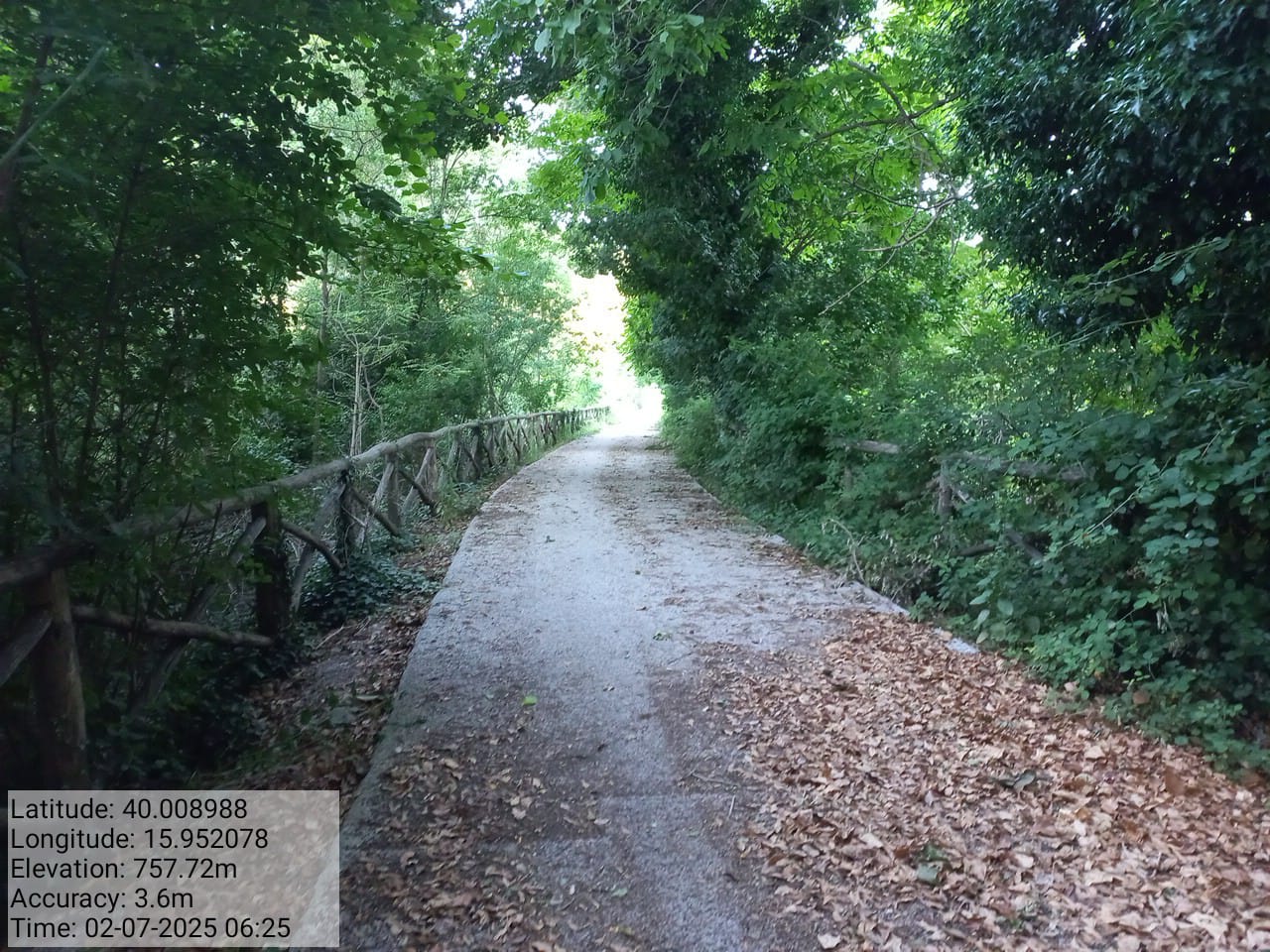 Galleria Fotografica Immagine