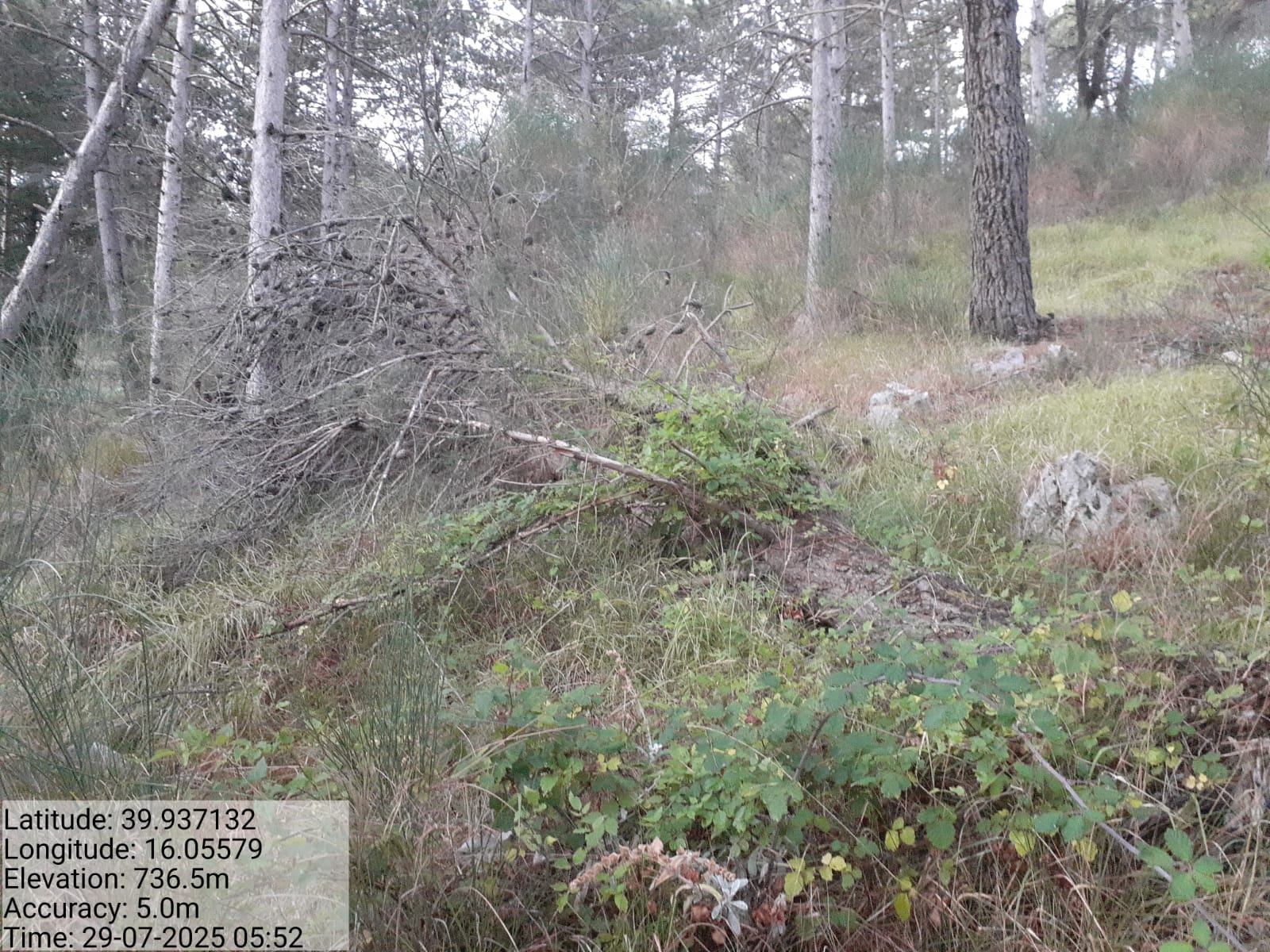 Galleria Fotografica Immagine