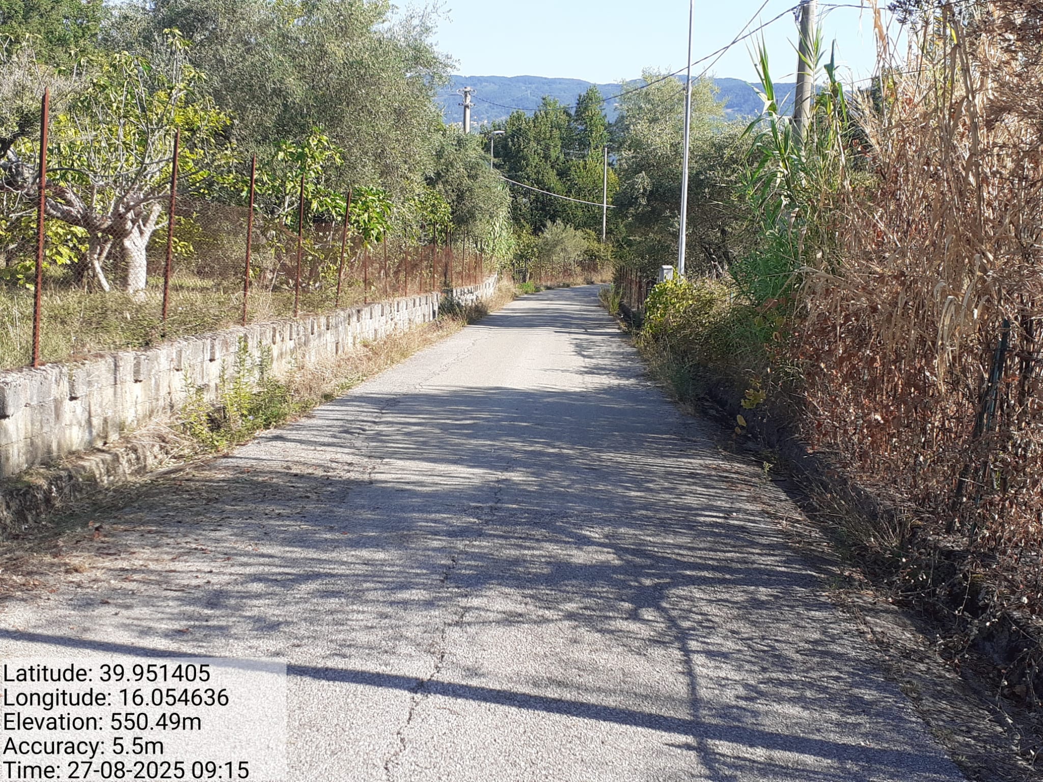 Galleria Fotografica Immagine