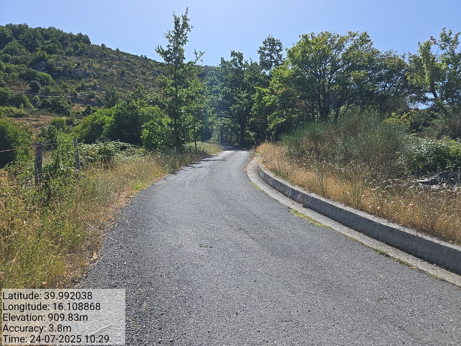 Galleria Fotografica Immagine