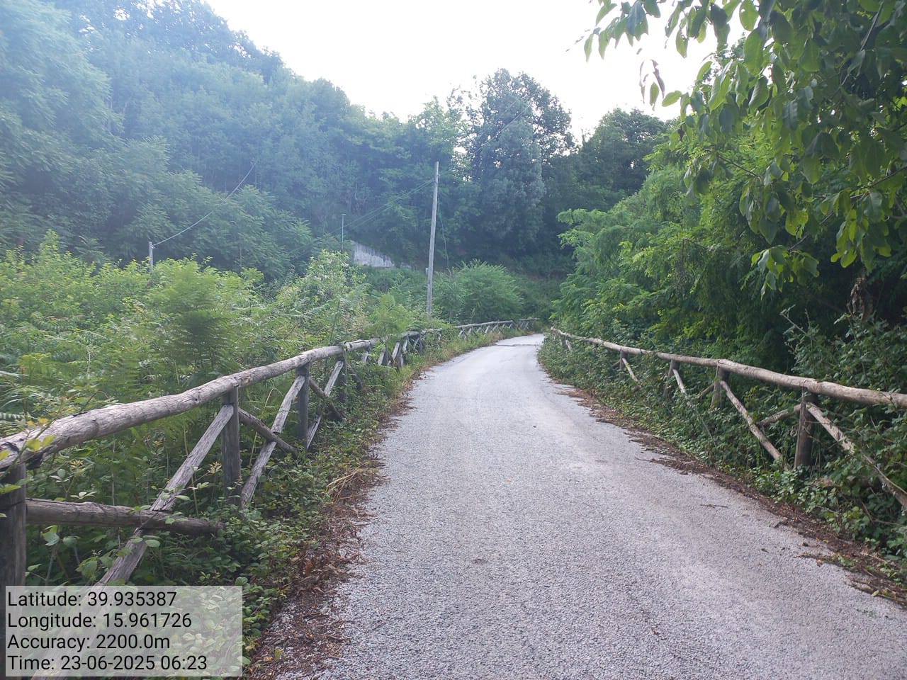 Galleria Fotografica Immagine