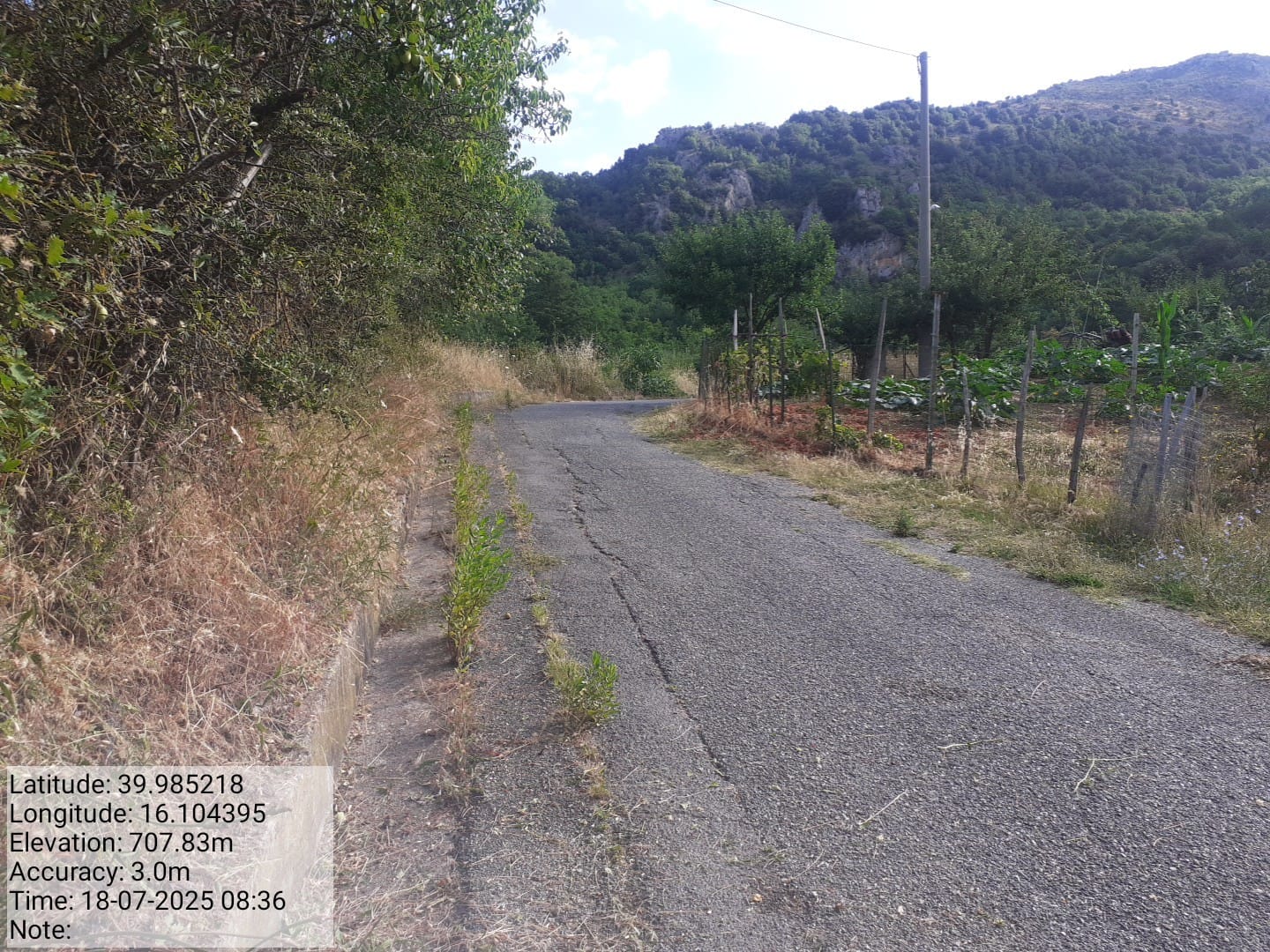 Galleria Fotografica Immagine