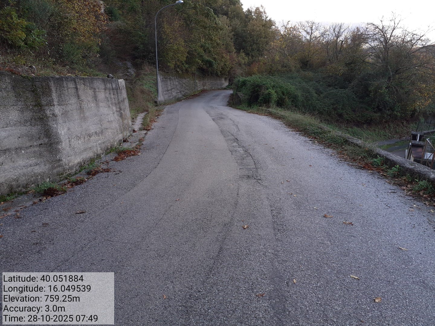 Galleria Fotografica Immagine