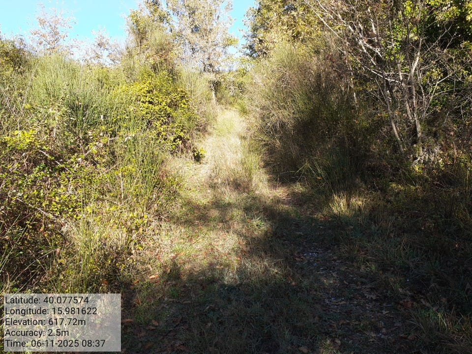 Galleria Fotografica Immagine